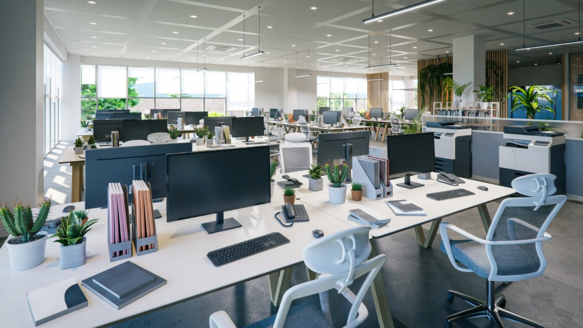 Sunlight streams in through the windows of a modern open-plan office. Computer monitors sit on top of white desks.