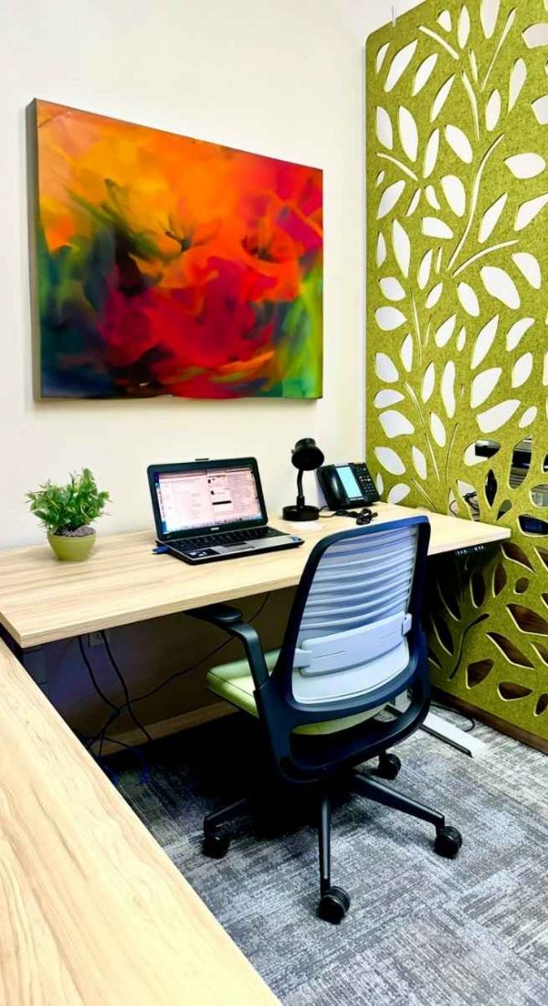 Boise Office Furniture & Workplace Design | Syringa Project